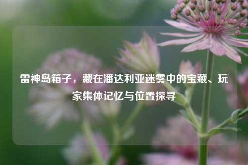 雷神岛箱子,藏在潘达利亚迷雾中的宝藏、玩家集体记忆与位置探寻
