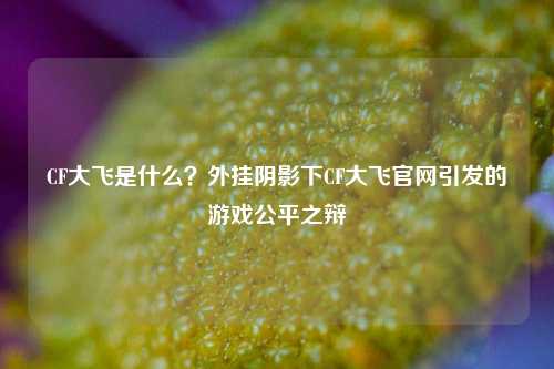 CF大飞是什么？外挂阴影下CF大飞官网引发的游戏公平之辩