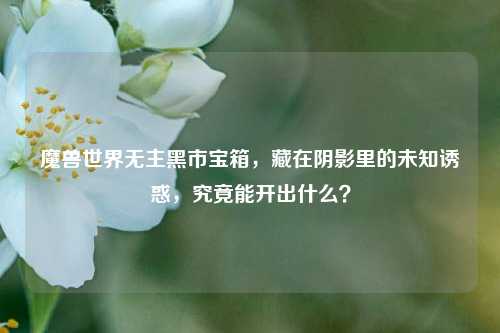 魔兽世界无主黑市宝箱，藏在阴影里的未知诱惑，究竟能开出什么？