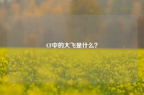CF中的大飞是什么？