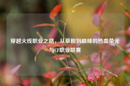 穿越火线职业之路,从草根到巅峰的热血荣光与CF职业联赛
