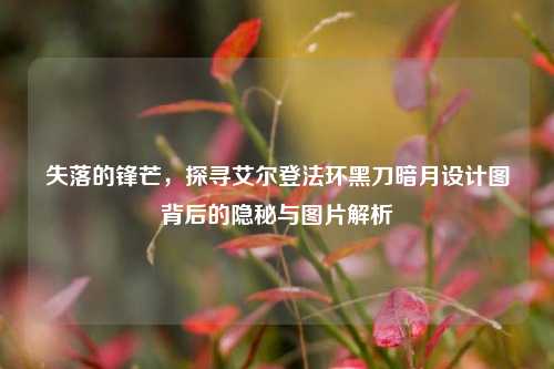 失落的锋芒,探寻艾尔登法环黑刀暗月设计图背后的隐秘与图片解析