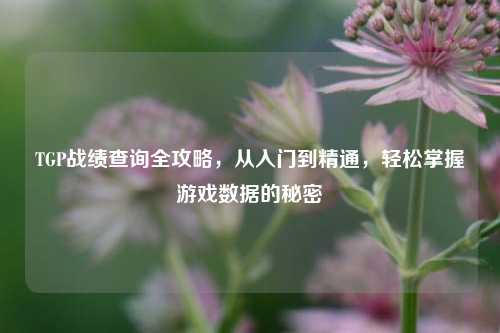TGP战绩查询全攻略,从入门到精通,轻松掌握游戏数据的秘密