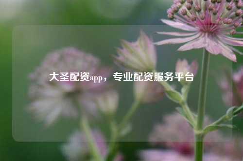 大圣配资app,专业配资服务平台