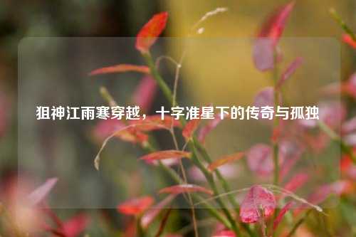 狙神江雨寒穿越,十字准星下的传奇与孤独