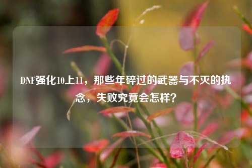 DNF强化10上11,那些年碎过的武器与不灭的执念,失败究竟会怎样?