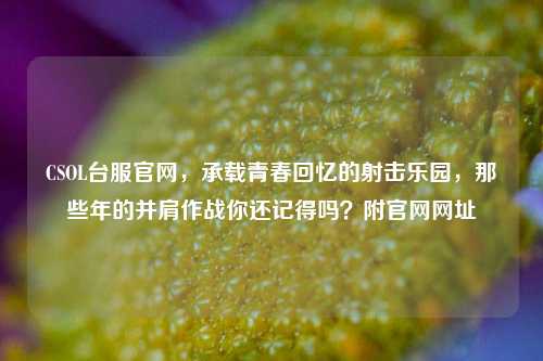 CSOL台服官网,承载青春回忆的射击乐园,那些年的并肩作战你还记得吗?附官网网址