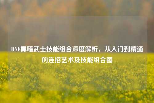 DNF黑暗武士技能组合深度解析，从入门到精通的连招艺术及技能组合图