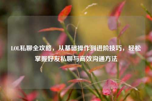 LOL私聊全攻略,从基础操作到进阶技巧,轻松掌握好友私聊与高效沟通 ***