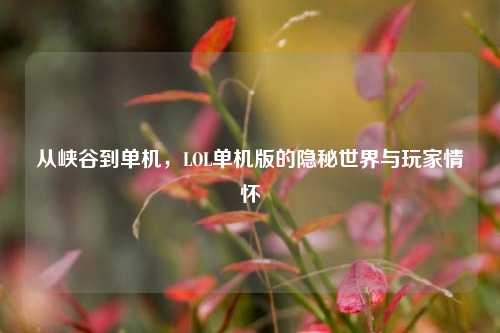 从峡谷到单机,LOL单机版的隐秘世界与玩家情怀