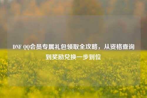 DNF *** 会员专属礼包领取全攻略,从资格查询到奖励兑换一步到位