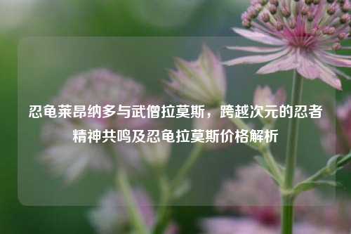 忍龟莱昂纳多与武僧拉莫斯,跨越次元的忍者精神共鸣及忍龟拉莫斯价格解析
