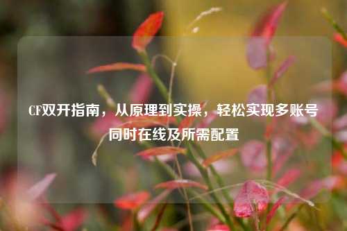 CF双开指南,从原理到实操,轻松实现多账号同时在线及所需配置