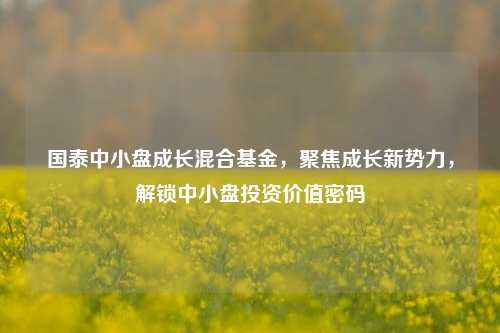 国泰中小盘成长混合基金,聚焦成长新势力,解锁中小盘投资价值密码