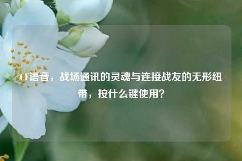 CF语音,战场通讯的灵魂与连接战友的无形纽带,按什么键使用?