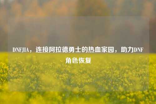 DNFJIA,连接阿拉德勇士的热血家园,助力DNF角色恢复