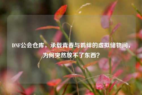 DNF公会仓库,承载青春与羁绊的虚拟储物间,为何突然放不了东西?