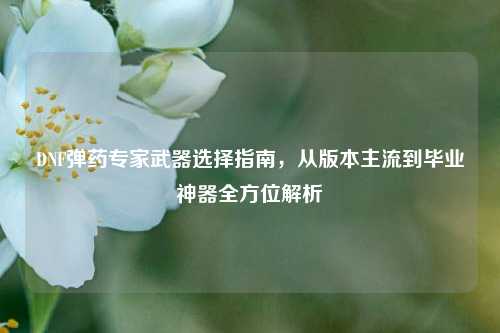 DNF弹药专家武器选择指南，从版本主流到毕业神器全方位解析