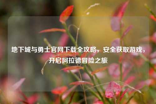地下城与勇士官网下载全攻略，安全获取游戏，开启阿拉德冒险之旅