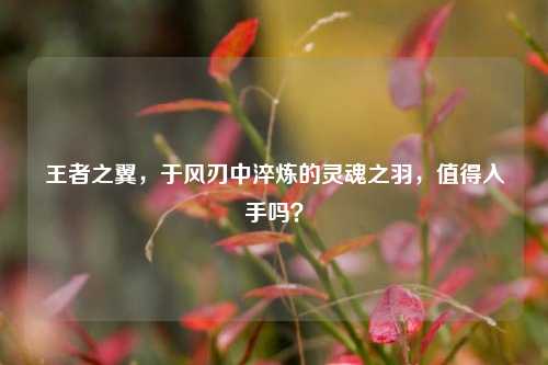 王者之翼,于风刃中淬炼的灵魂之羽,值得入手吗?