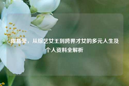 陶晶莹,从综艺女王到跨界才女的多元人生及个人资料全解析