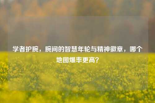 学者护腕,腕间的智慧年轮与精神徽章,哪个地图爆率更高?