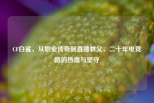 CF白鲨,从职业传奇到直播教父,二十年电竞路的热血与坚守