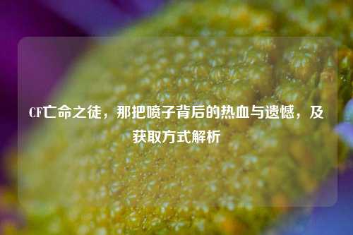 CF亡命之徒,那把喷子背后的热血与遗憾,及获取方式解析