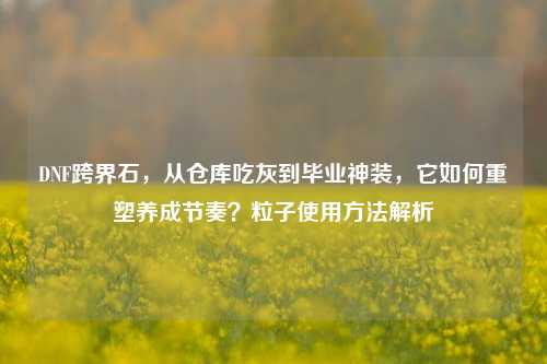 DNF跨界石,从仓库吃灰到毕业神装,它如何重塑养成节奏?粒子使用 *** 解析