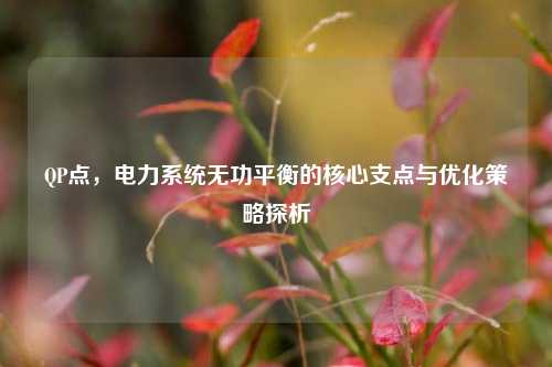 QP点，电力系统无功平衡的核心支点与优化策略探析