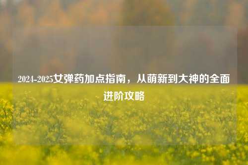 2024-2025女弹药加点指南,从萌新到大神的全面进阶攻略
