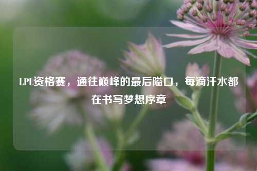 LPL资格赛,通往巅峰的最后隘口,每滴汗水都在书写梦想序章