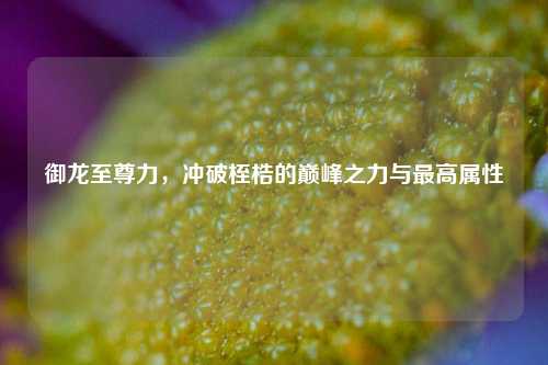 御龙至尊力，冲破桎梏的巅峰之力与更高属性