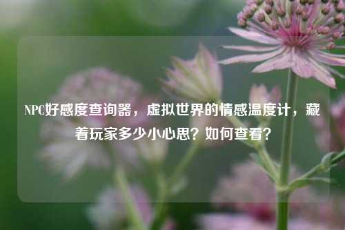 NPC好感度查询器，虚拟世界的情感温度计，藏着玩家多少小心思？如何查看？