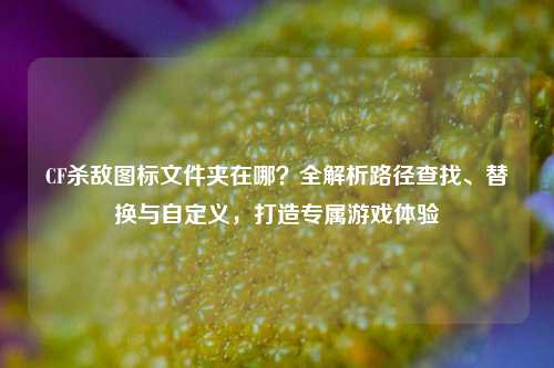 CF杀敌图标文件夹在哪？全解析路径查找、替换与自定义，打造专属游戏体验