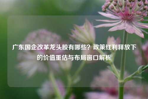 广东国企改革龙头股有哪些?政策红利释放下的价值重估与布局窗口解析