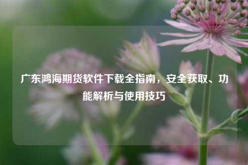 广东鸿海期货软件下载全指南,安全获取、功能解析与使用技巧