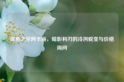 银色之牙阿卡丽,暗影利刃的冷冽蜕变与价格询问