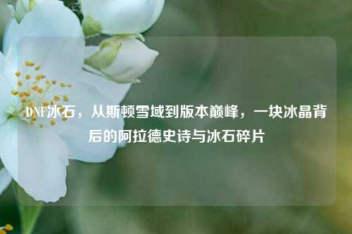 DNF冰石,从斯顿雪域到版本巅峰,一块冰晶背后的阿拉德史诗与冰石碎片
