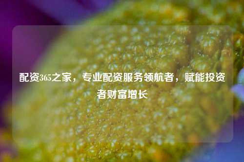 配资365之家,专业配资服务领航者,赋能投资者财富增长
