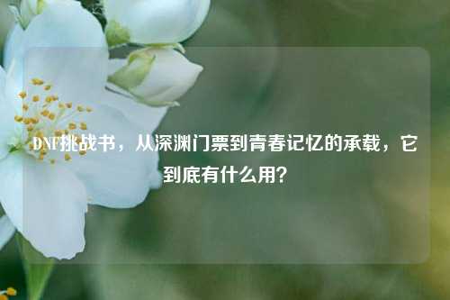 DNF挑战书,从深渊门票到青春记忆的承载,它到底有什么用?