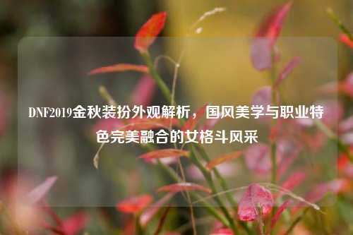 DNF2019金秋装扮外观解析,国风美学与职业特色完美融合的女格斗风采
