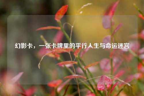 幻影卡，一张卡牌里的平行人生与命运迷宫