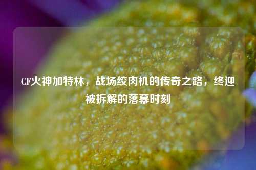 CF火神加特林,战场绞肉机的传奇之路,终迎被拆解的落幕时刻