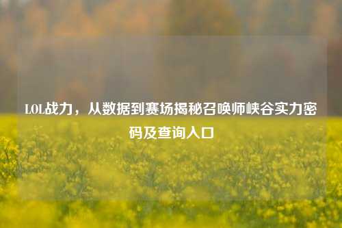 LOL战力，从数据到赛场揭秘召唤师峡谷实力密码及查询入口