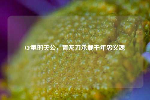 CF里的关公,青龙刀承载千年忠义魂