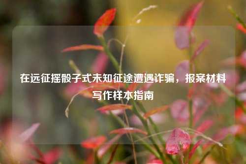 在远征摇骰子式未知征途遭遇诈骗,报案材料写作样本指南