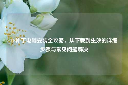 CF补丁电脑安装全攻略,从下载到生效的详细步骤与常见问题解决