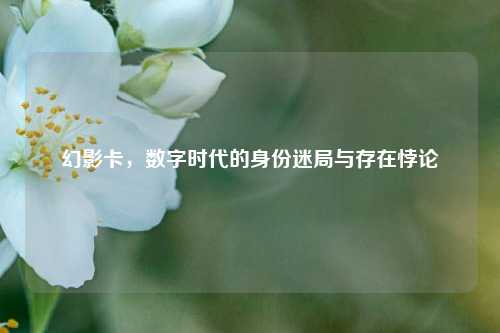 幻影卡,数字时代的身份迷局与存在悖论
