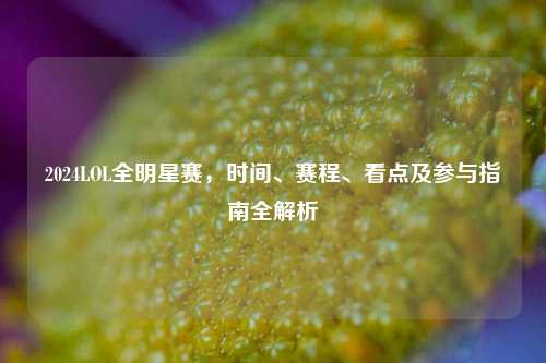 2024LOL全明星赛,时间、赛程、看点及参与指南全解析